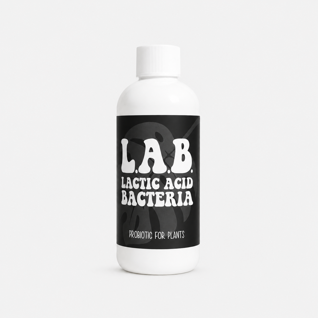 Lactic Acid Bacteria