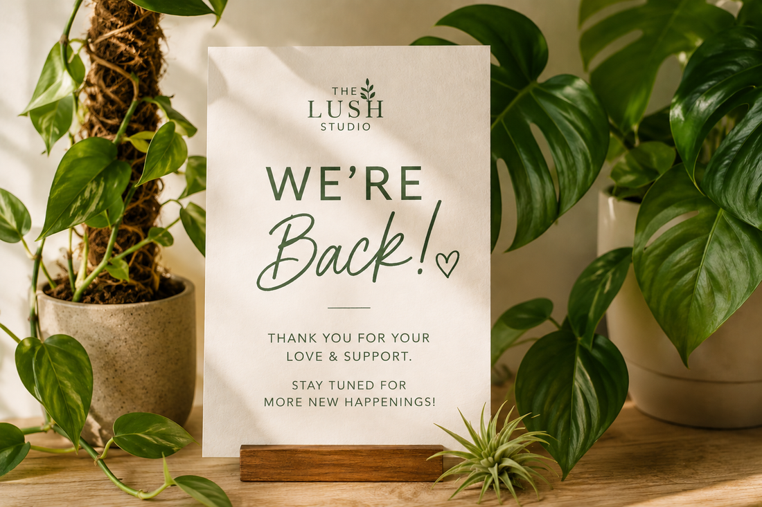 We’re Back 🌿