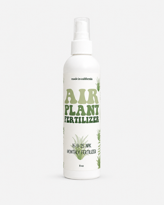 Air Plant Fertilizer