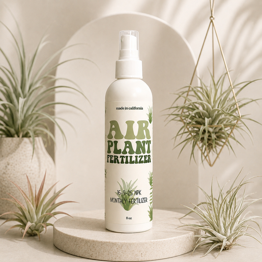 Air Plant Fertilizer
